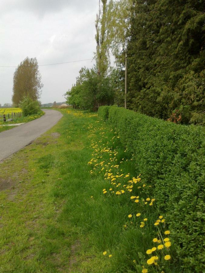 Zum Brauergang * Garz (Rugen)